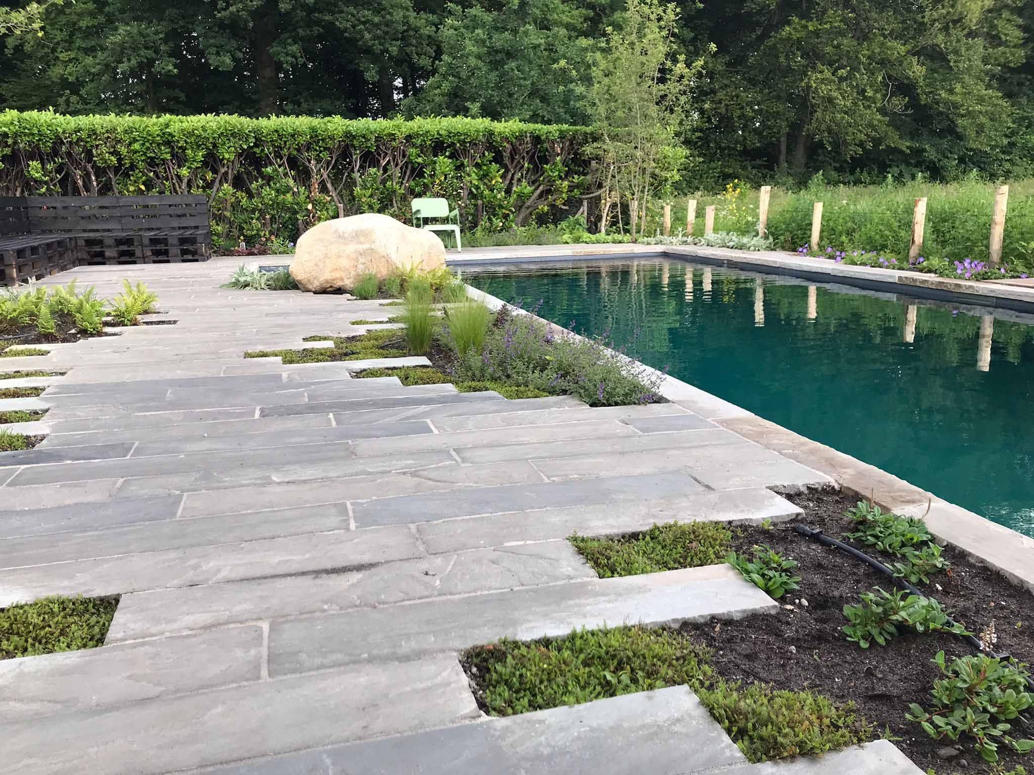 Een natuurlijk zwembad voor je eigen tuin